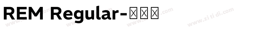 REM Regular字体转换